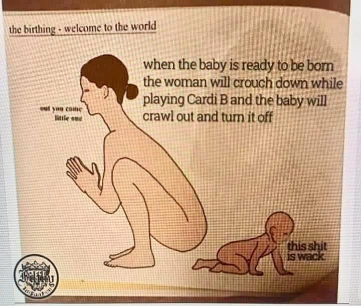 cartoon - the birthing welcome to the world when the baby is ready to be bom the woman will crouch down while playing Cardi B and the baby will crawl out and turn it off you come little one this shit is wack With