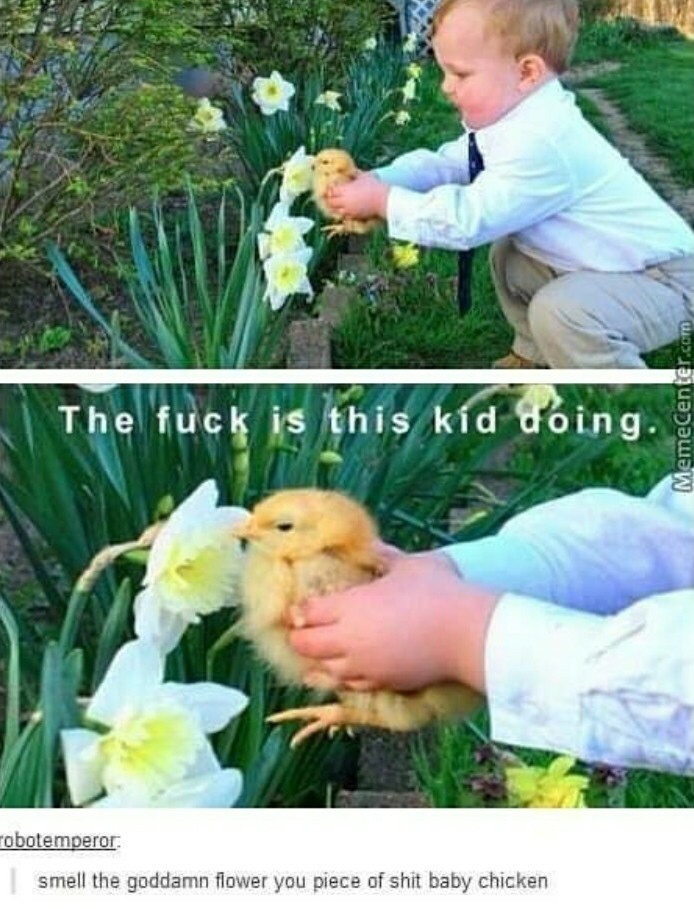 smell the flower you baby chicken - The fuck is this kid doing. MemeCenter.com robotemperor 1 smell the goddamn flower you piece of shit baby chicken