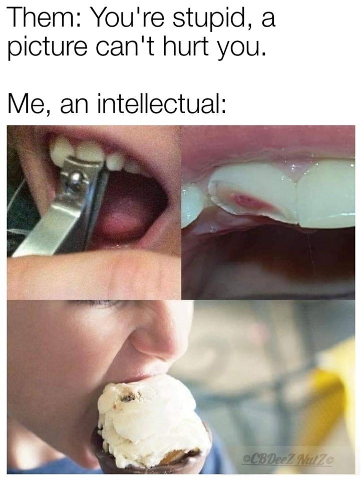 tooth ice cream meme - Them You're stupid, a picture can't hurt you. Me, an intellectual 08 Der