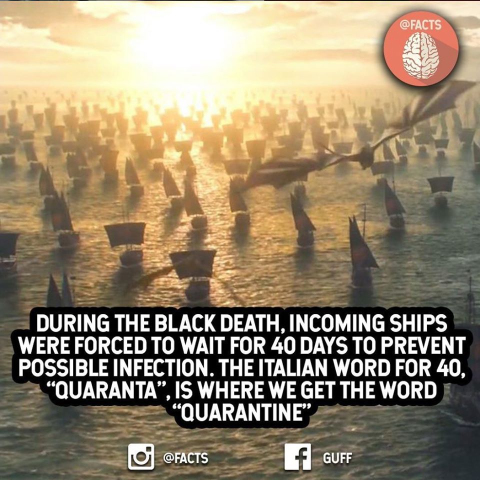 daenerys winds of winter - During The Black Death. Incoming Ships Were Forced To Wait For 40 Days To Prevent Possible Infection. The Italian Word For 40, "Quaranta", Is Where We Get The Word Quarantine" f Guff