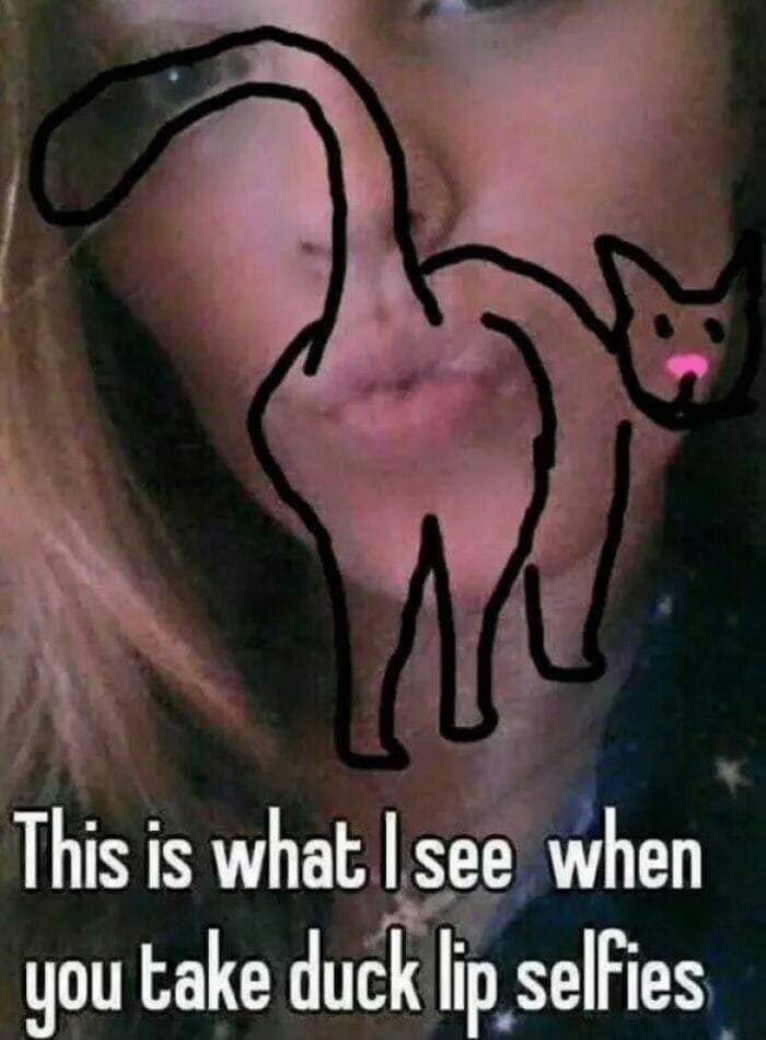 duck lips cat butt - This is what I see when you take duck lip selfies