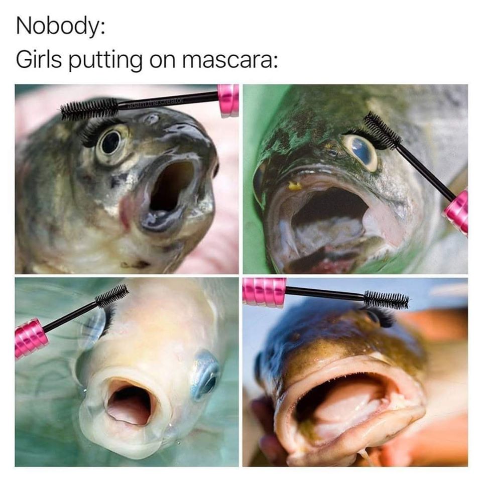 fish - Nobody Girls putting on mascara adam.tre creator