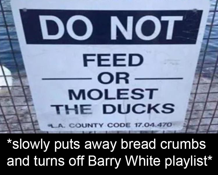 banner - Do Not Feed Or Molest The Ducks La. County Code 17.04.470 slowly puts away bread crumbs and turns off Barry White playlist
