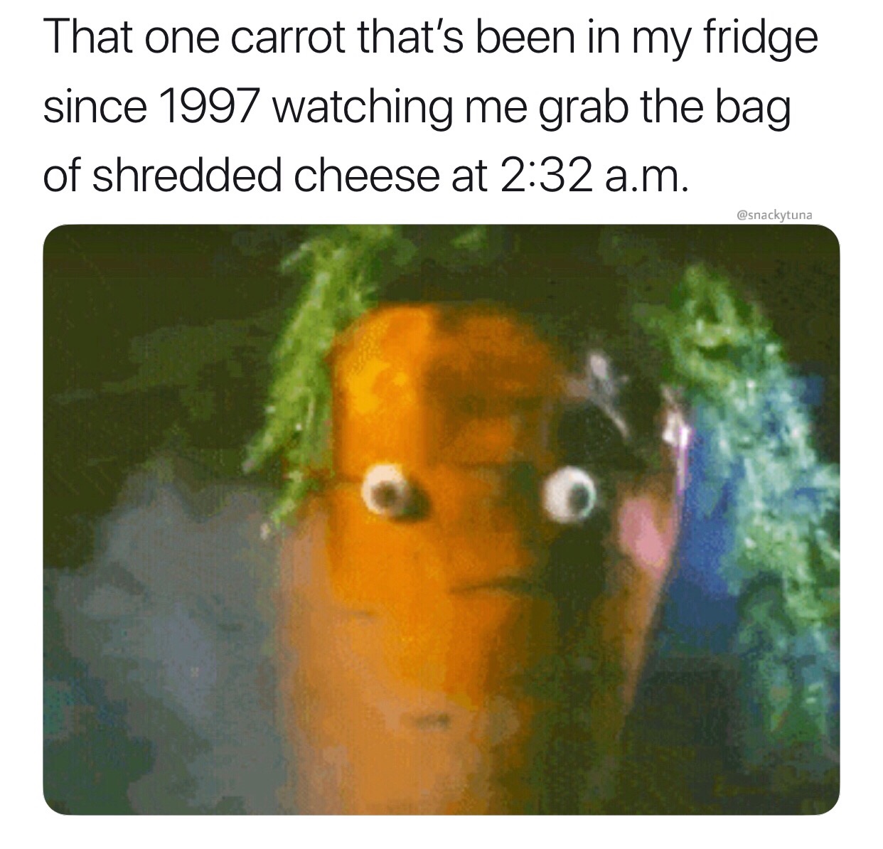 one carrot thats been in my fridge since 1997 - That one carrot that's been in my fridge since 1997 watching me grab the bag of shredded cheese at a.m.