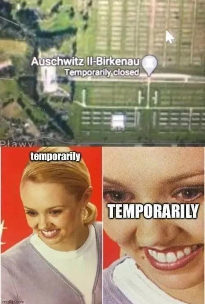 murder hornet jumanji meme - Auschwitz IiBirkenau Temporarily closed Plawy temporarily Temporarily imgflip.com