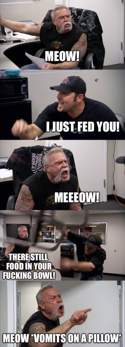 american chopper meme ita - Meow! I Just Fed You! Meeeow! There Still Food In Your Fucking Bowl! Meow Vomits On A Pillow