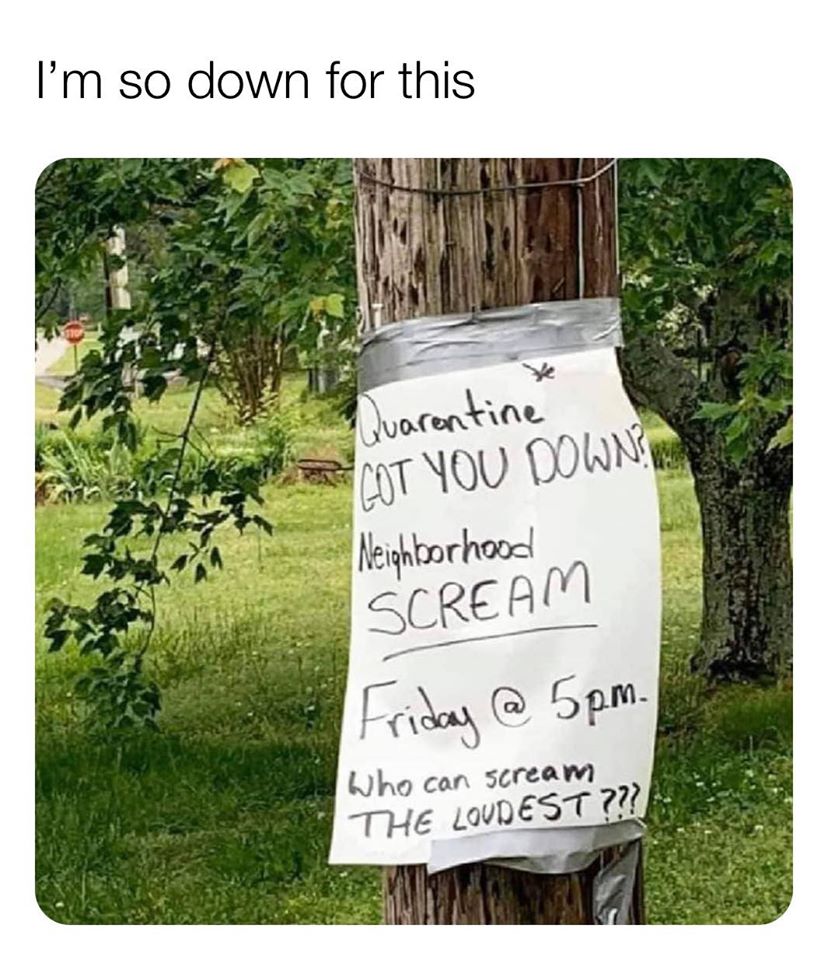 neighborhood scream meme - I'm so down for this Quarentine Cot You Down Neighborhood Scream Friday @ 5pm. Who can scream The Loudest???