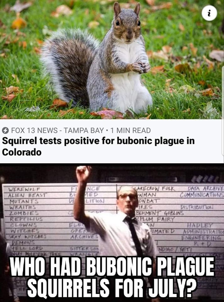 squirrel appreciation day - i Fox 13 News Tampa Bay 1 Min Read Squirrel tests positive for bubonic plague in Colorado Fi Nce Ted Lition De Werewolf Alien Beast Mutants Wraitas Zombies Keptiltus Clowns Witches Sery Witches Pemons Ell Lord Sarecrow Folk Dat
