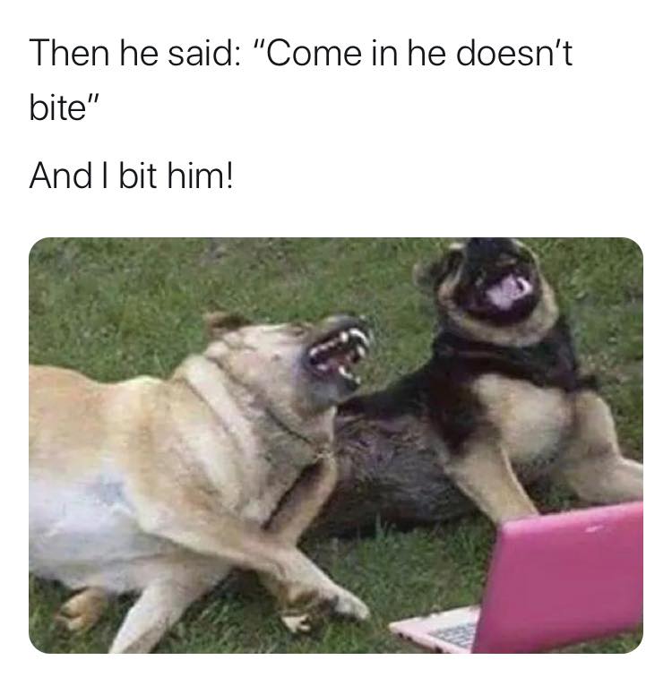 then he said come in he doesn t bite - Then he said "Come in he doesn't bite" And I bit him!