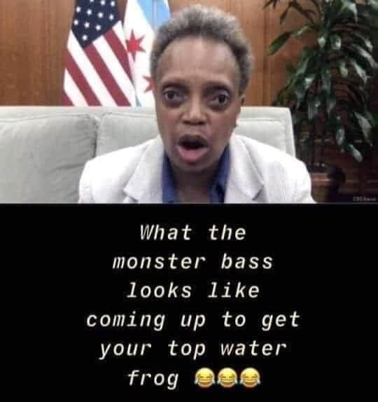 Lori Lightfoot - What the monster bass looks coming up to get your top water frog een