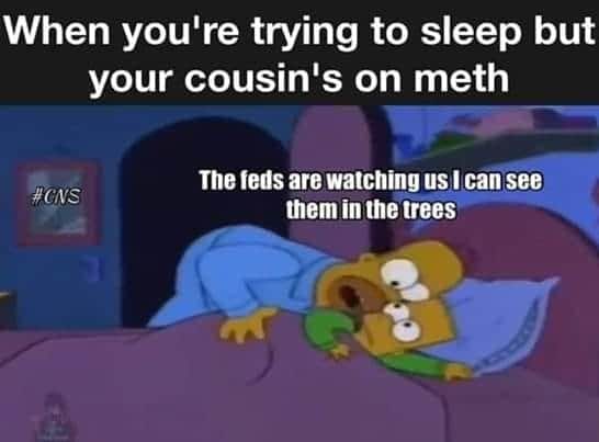 cartoon - When you're trying to sleep but your cousin's on meth The feds are watching us I can see them in the trees
