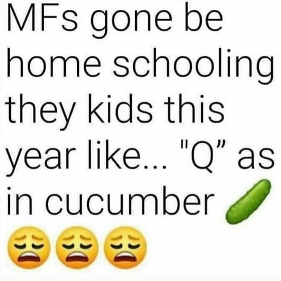 dark skin bitches fuck better meme - MFs gone be home schooling they kids this year ... "Q as in cucumber
