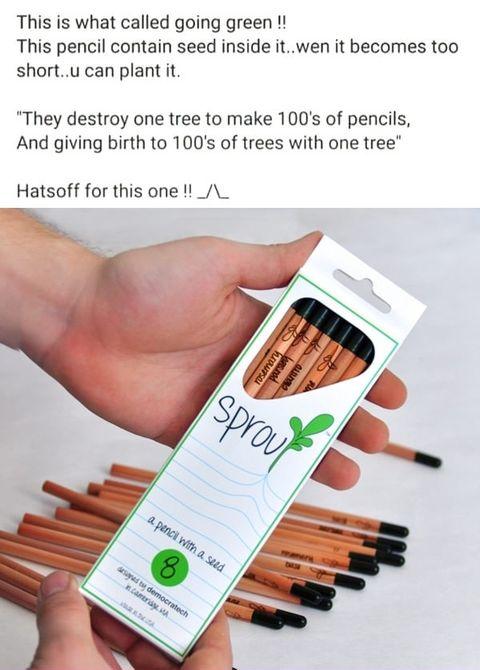 pencils that turn into plants - This is what called going green !! This pencil contain seed inside it..wen it becomes too short..u can plant it. "They destroy one tree to make 100's of pencils, And giving birth to 100's of trees with one tree" Hatsoff for