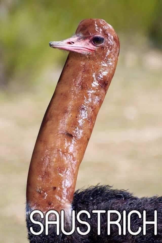 sausage ostrich