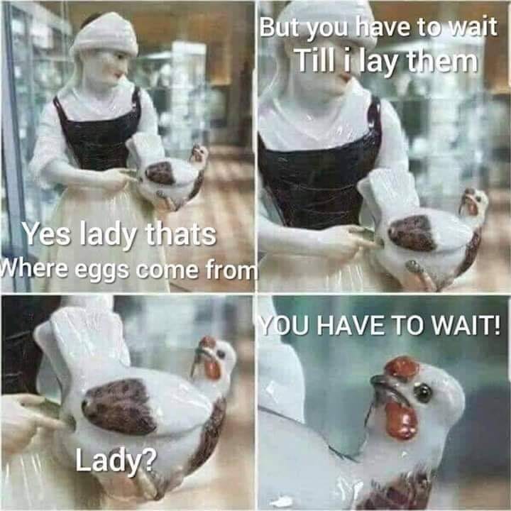 lady you have to wait - But you have to wait Till i lay them Yes lady thats Where eggs come from You Have To Wait! Lady?