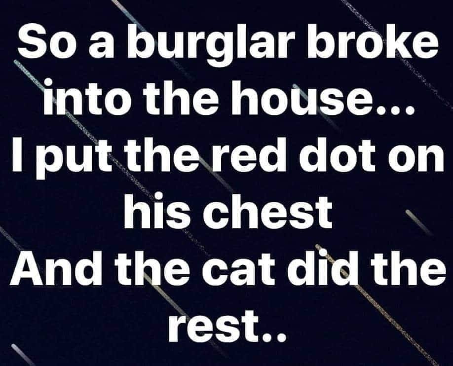 angle - So a burglar broke into the house... I put the red dot on his chest And the cat did the rest..