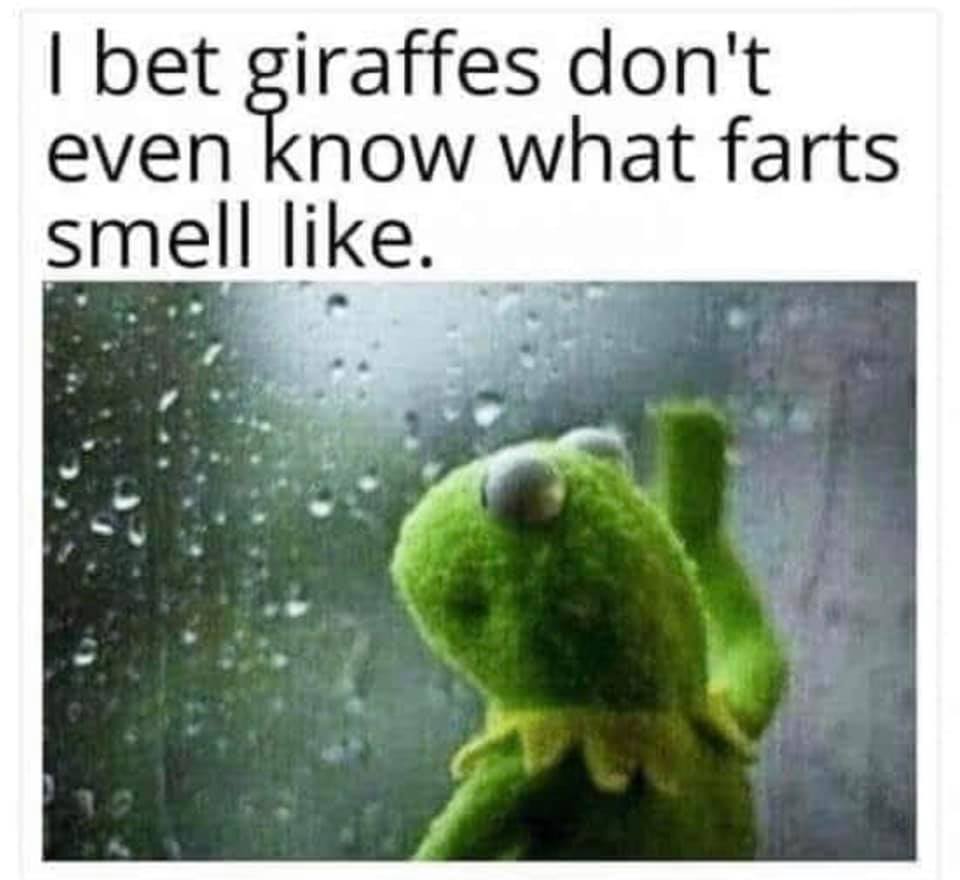 sometimes i wonder meme - I bet giraffes don't even know what farts smell .