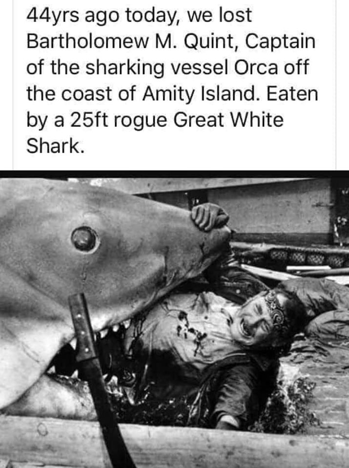 Jaws - 44yrs ago today, we lost Bartholomew M. Quint, Captain of the sharking vessel Orca off the coast of Amity Island. Eaten by a 25ft rogue Great White Shark.