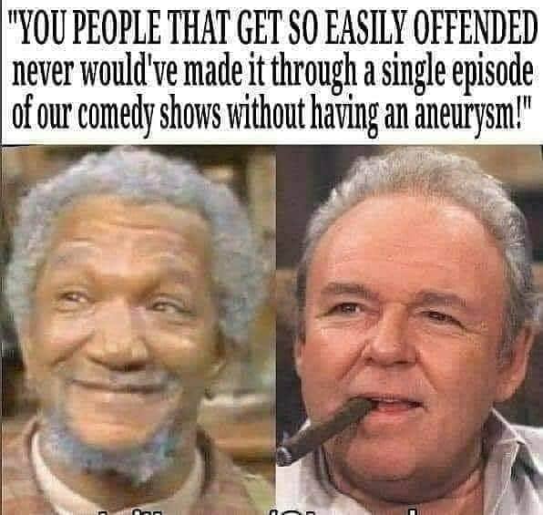 photo caption - "You People That Get So Easily Offended never would've made it through a single episode of our comedy shows without having an aneurysm!" nan