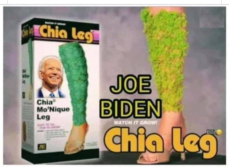 joe biden chia leg - Chia legi Chia Mo'Nique Leg Joe Biden Chia leg Watch It Grow