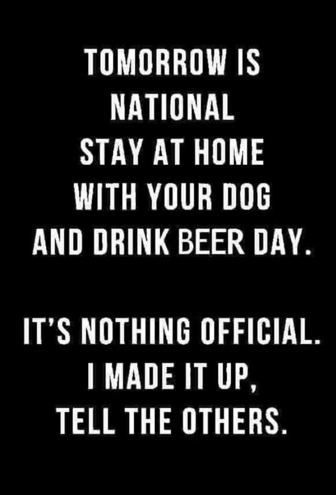 stay at home and drink beer with your dog day - Tomorrow Is National Stay At Home With Your Dog And Drink Beer Day. It'S Nothing Official. I Made It Up, Tell The Others.