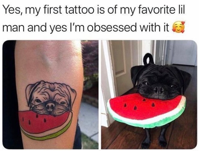 pug watermelon tattoo - Yes, my first tattoo is of my favorite lil man and yes I'm obsessed with it