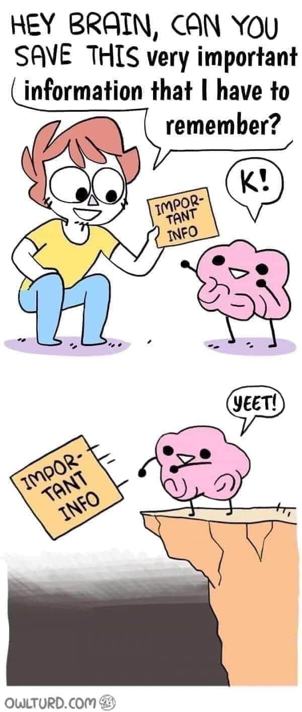 Humour - Hey Brain, Can You Save This very important information that I have to remember? K! Impor Tant Info Yeet! Impor Tant Info to Owlturd.Com