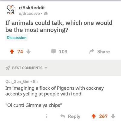 oi cunt pigeons - rAskReddit udraudevo.sh If animals could talk, which one would be the most annoying? Discussion 74 103 Best Qui_Gon_Gin. 8h Im imagining a flock of Pigeons with cockney accents yelling at people with food. "Oi cunt! Gimme ya chips" > 267