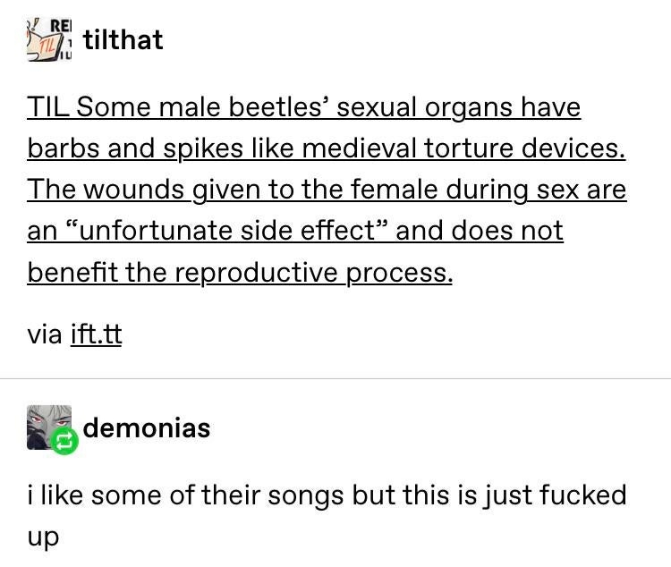 angle - Re tilthat Til Some male beetles' sexual organs have barbs and spikes medieval torture devices. The wounds given to the female during sex are an unfortunate side effect and does not benefit the reproductive process. via ift.tt demonias i some of t