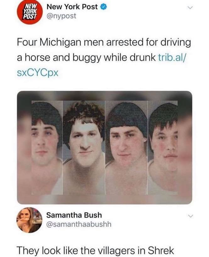 amish drunk buggy - New New York Post York Post Four Michigan men arrested for driving a horse and buggy while drunk trib.al SxCYCpx Samantha Bush They look the villagers in Shrek