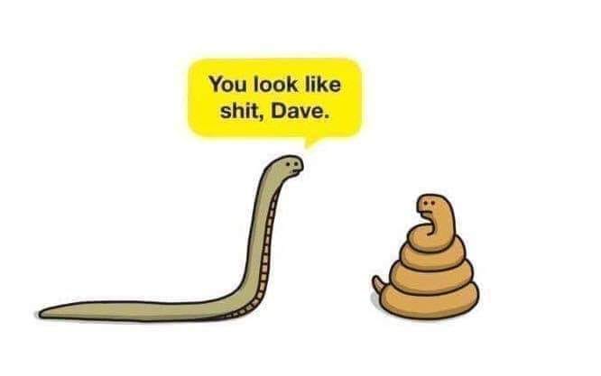 you look like shit dave - You look shit, Dave.