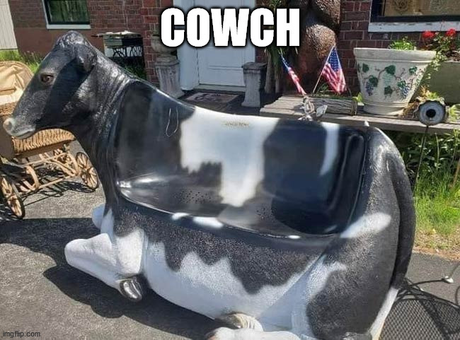 cow couch