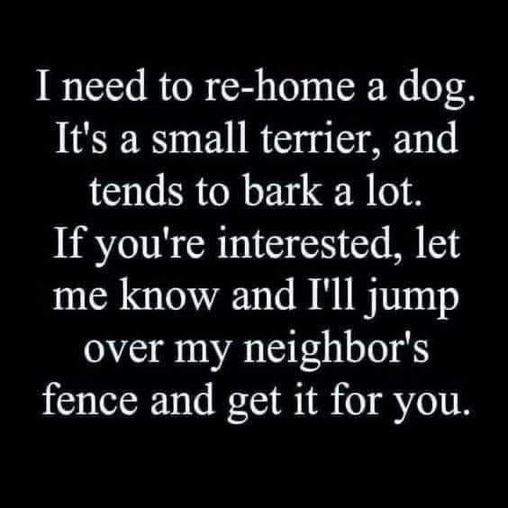 love - I need to rehome a dog. It's a small terrier, and tends to bark a lot. If you're interested, let me know and I'll jump over my neighbor's fence and get it for you.