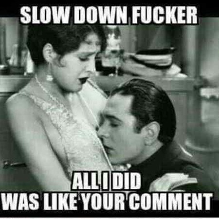 fucker funny - Slow Down Fucker All I Did Was Your Comment