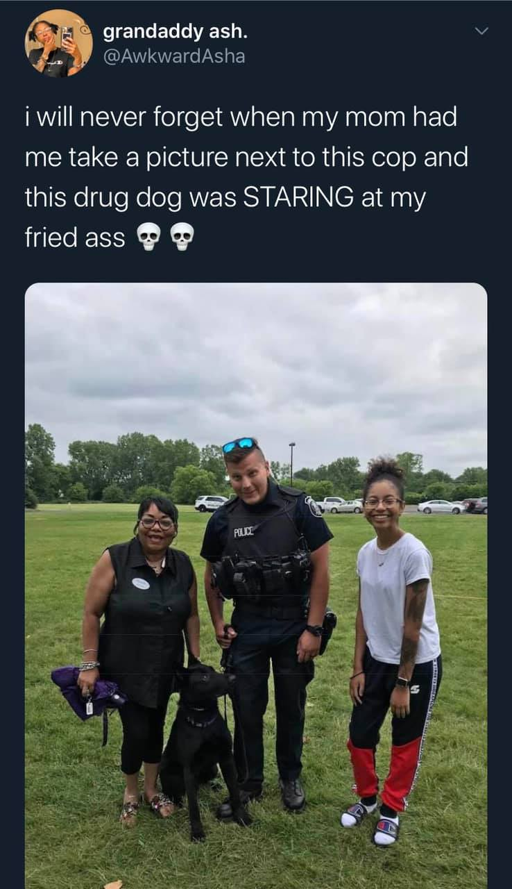 grass - grandaddy ash. i will never forget when my mom had me take a picture next to this cop and this drug dog was Staring at my fried ass