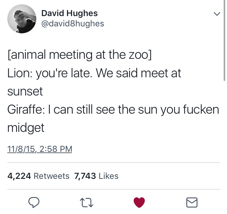 giraffe sunset meme - v David Hughes animal meeting at the zoo Lion you're late. We said meet at sunset Giraffe I can still see the sun you fucken midget 11815, 4,224 7,743 27