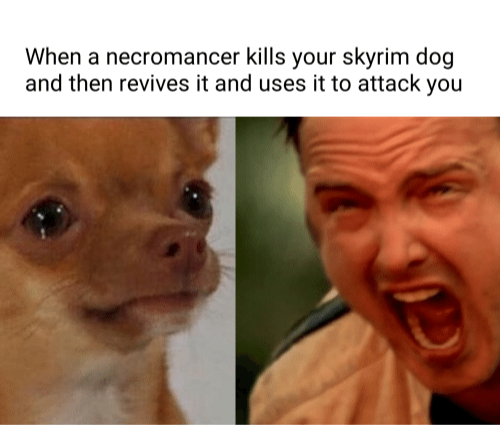 chopped memes - When a necromancer kills your skyrim dog and then revives it and uses it to attack you