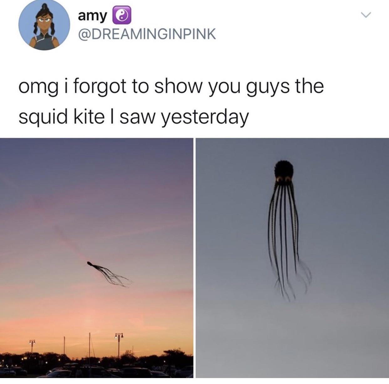 sky - amy e omg i forgot to show you guys the squid kite I saw yesterday