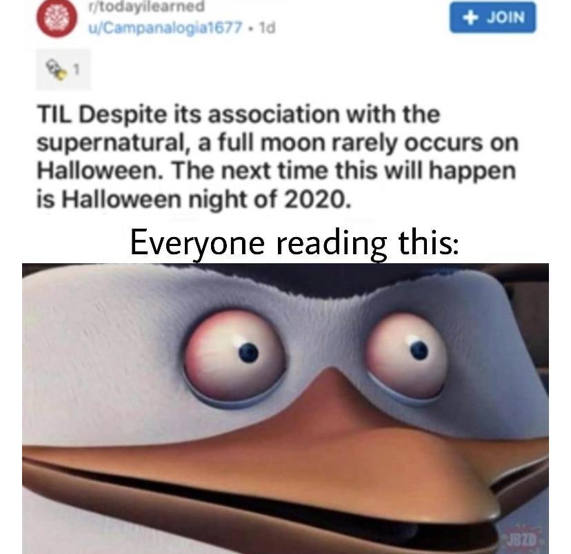meme template kowalski - todayilearned uCampanalogia1677. 1d Join Til Despite its association with the supernatural, a full moon rarely occurs on Halloween. The next time this will happen is Halloween night of 2020. Everyone reading this JB2D