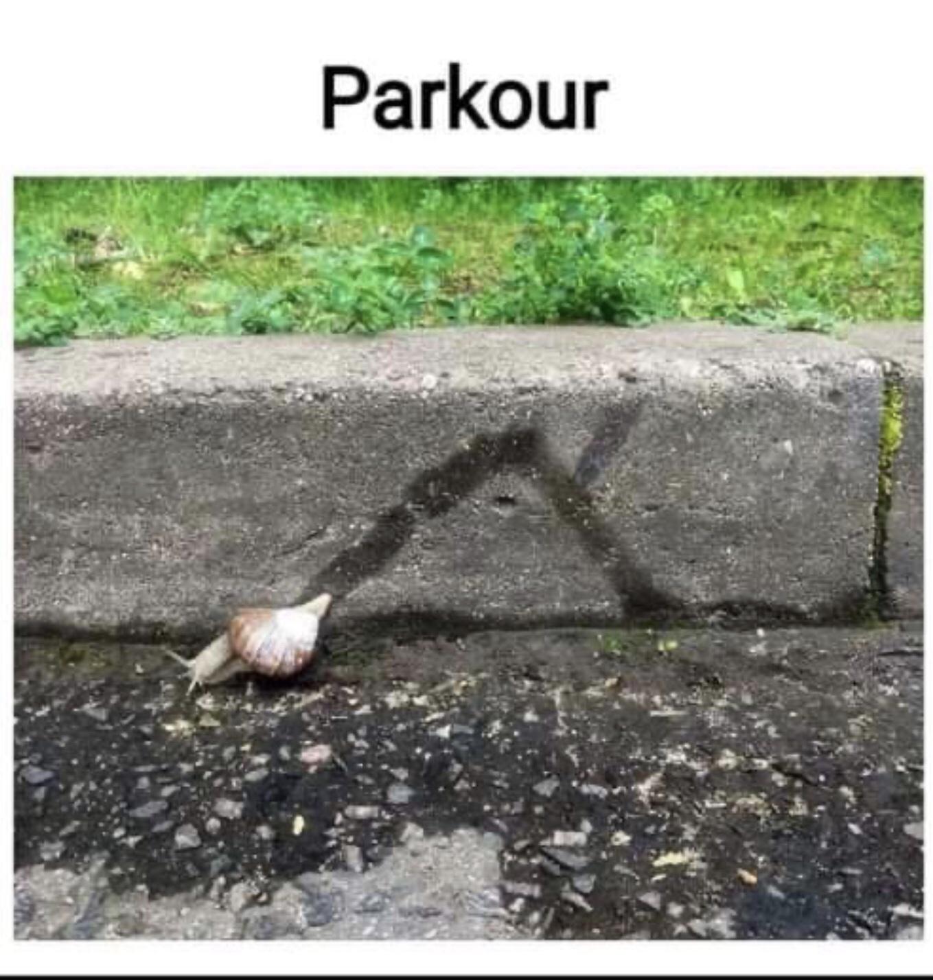 snail parkour meme - Parkour