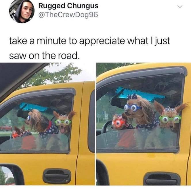 vehicle door - Rugged Chungus take a minute to appreciate what I just saw on the road.