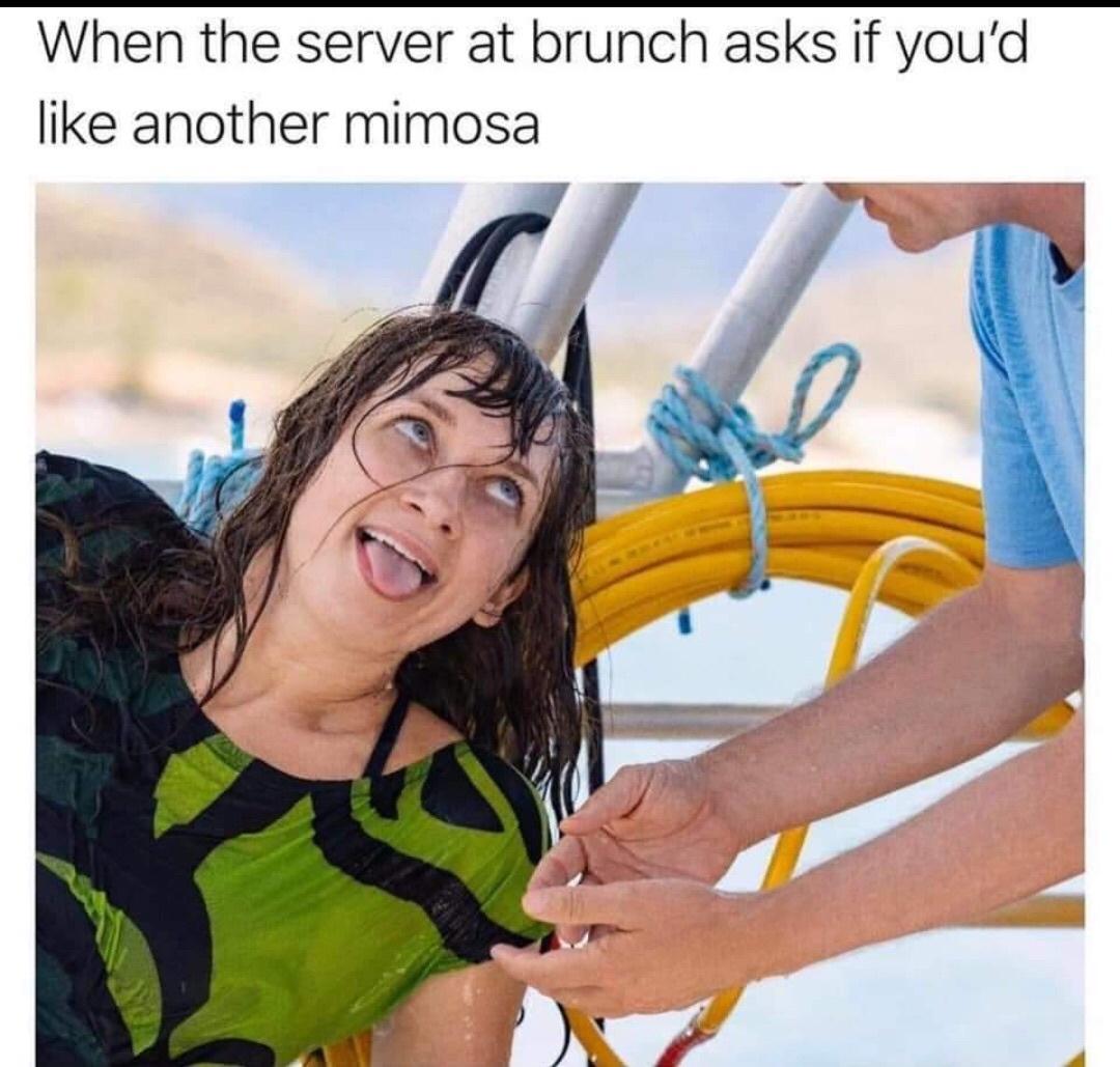 mimosa meme - When the server at brunch asks if you'd another mimosa.