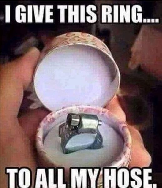 memes funny - I Give This Ring.... To All My Hose.