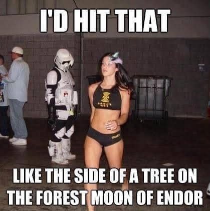 funny star wars memes - I'D Hit That The Side Of A Tree On The Forest Moon Of Endor