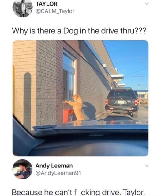 social distancing dog meme - Taylor Why is there a Dog in the drive thru??? Andy Leeman Because he can't f cking drive. Taylor.