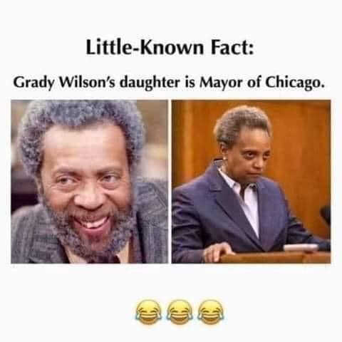 human behavior - LittleKnown Fact Grady Wilson's daughter is Mayor of Chicago. C