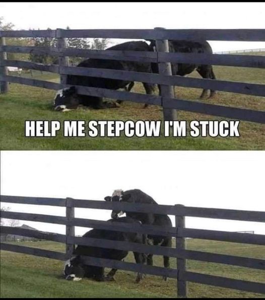 not everyone is there to help you - Help Me Stepcow I'M Stuck