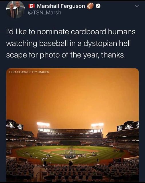 atmosphere - Marshall Ferguson I'd to nominate cardboard humans watching baseball in a dystopian hell scape for photo of the year, thanks. Ezra ShawGetty Images