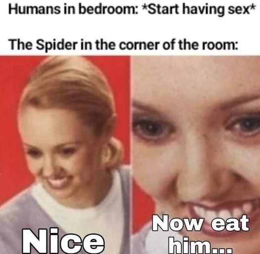 yikes meme - Humans in bedroom Start having sex The Spider in the corner of the room Nice Now eat him...