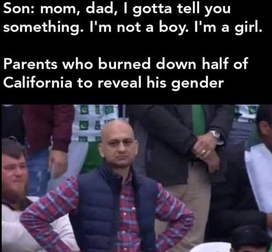 cricket meme - Son mom, dad, I gotta tell you something. I'm not a boy. I'm a girl. Parents who burned down half of California to reveal his gender